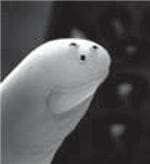 Терморезистор с отрицательным температурным коэфициентом SM04103372 Ametherm