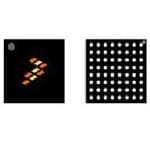 ARM  контроллер MKL82Z128VMC7 NXP Semiconductors